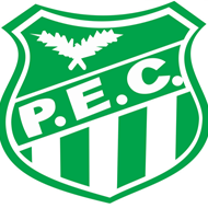 PALMARES ESPORTE CLUBE